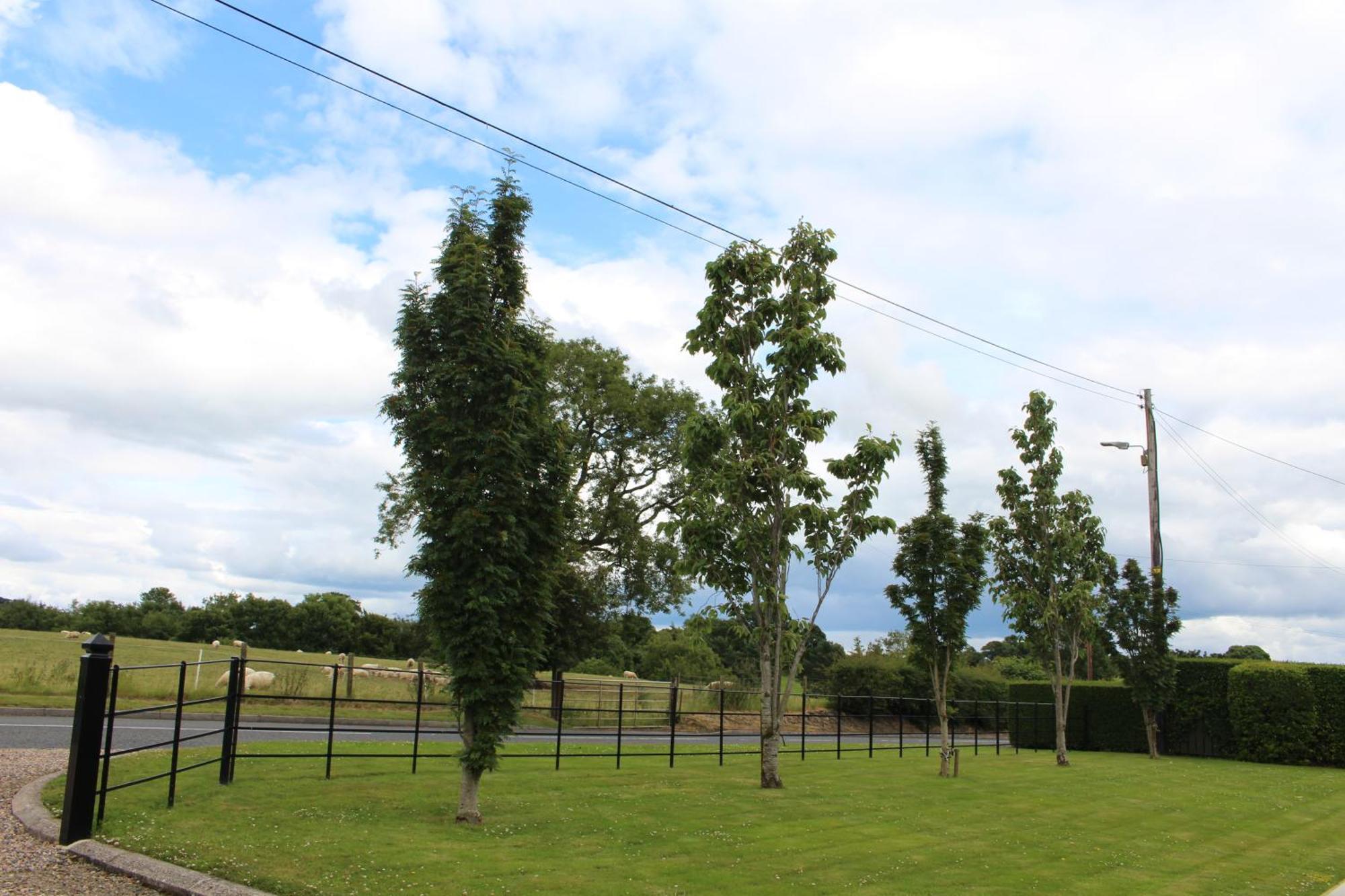 Contemporary Countryside Home Dromore  Exterior photo